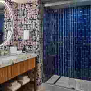Highland Dallas, Curio Collection By Hilton, 6 of 6