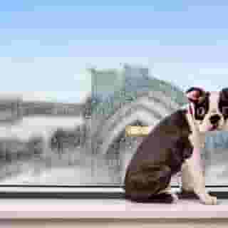 Radisson RED Hotel, Glasgow, 4 of 5