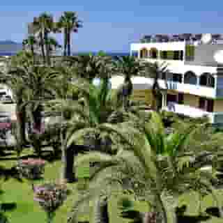 Tropical Sol, 5 of 5