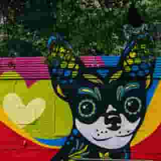 Hyatt Centric Midtown Atlanta, 1 of 5