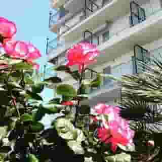 Hotel Villa Truentum, 4 of 5
