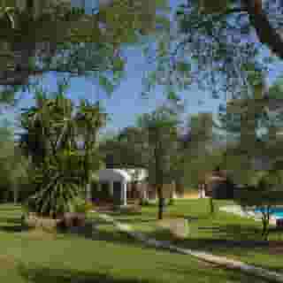 Saint Nicholas, 3 of 5