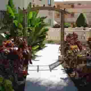 Los Ficus, 6 of 6