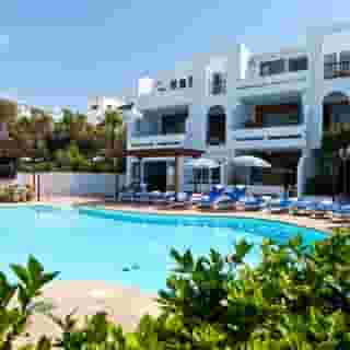 Camel Spring, 2 of 5