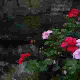 Albergo Il Giardino Del Rio, 4 of 5
