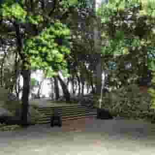 CONTINENTAL VALLDEMOSSA (EX ENCINAR), 6 of 6