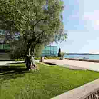Hotel Histrion, 3 of 5