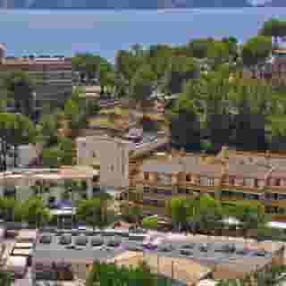 Flor Los Almendros, 5 of 5