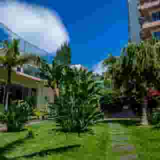 Dorisol Buganvilia, 4 of 5