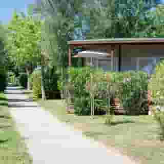 Club del Sole Stork Family Collection, 4 of 5