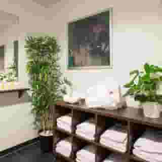 Best Western Plus Amedia Wien, 6 of 6