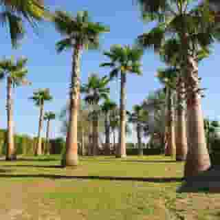 Montargil Monte Novo, 4 of 5