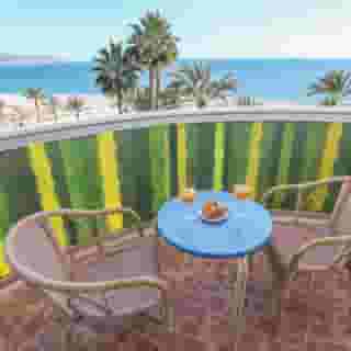 Kaktus Albir, 5 of 5