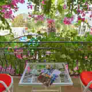 Sunny Garden, 6 of 6