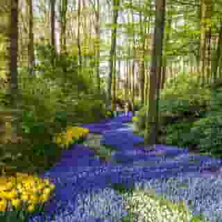 Van Der Valk Hotel Den Haag Wassenaar, 2 of 5