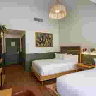 Hotel Theo New Orleans, Tapestry Collection By Hil, 4 of 5