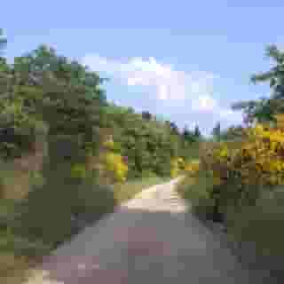 Bed And Breakfast Country Hill, 2 of 5