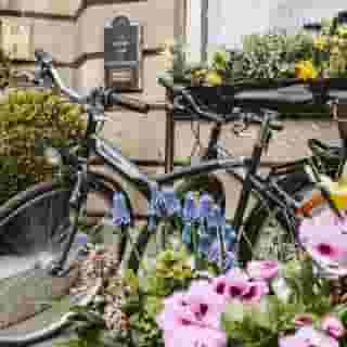 Murrayfield Hotel & House, 2 of 5