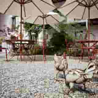 Le Coq Chantant B&b and Boutique Hotel, 6 of 6