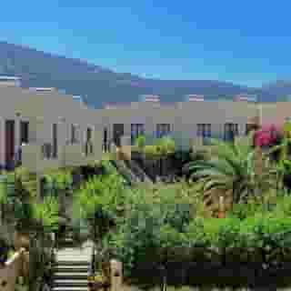 Maria Lambis, 4 of 5