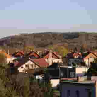 Daisy Superior, 1 of 5