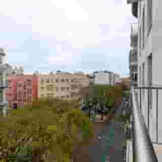 Olissippo Saldanha, 1 of 5