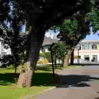 Ballyroe Heights Hotel, 2 of 5