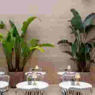 Browns Avenue Hotel, 4 of 5