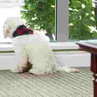 Granville Island Hotel, 5 of 5