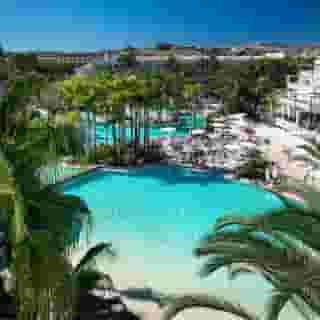 Tabaiba Princess, 3 of 5