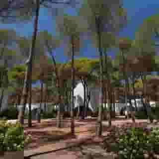 Hotel Mare Pineta, 5 of 5