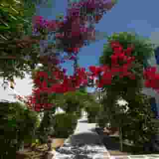 Acrogiali Hotel, 3 of 5