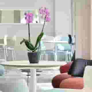 Des Alpes Geneva, 4 of 5