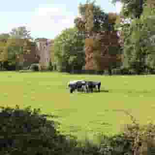 The Coach House, 2 of 5