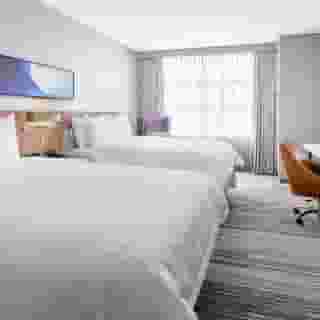 Hilton Garden Inn Chicago/McCormick Place, IL, 3 of 5