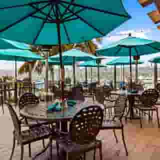 Best Western Plus Island Palms Hotel & Marina, 2 of 5