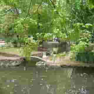 Tranzzit Hotel, 3 of 5