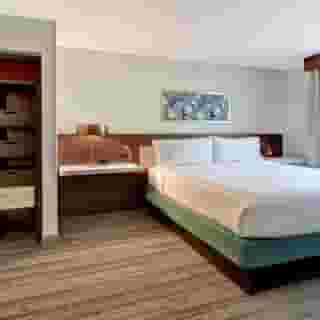 Hilton Garden Inn Houston/Galleria Area, 3 of 5