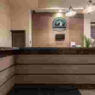 Full Moon Budapest, 3 of 5