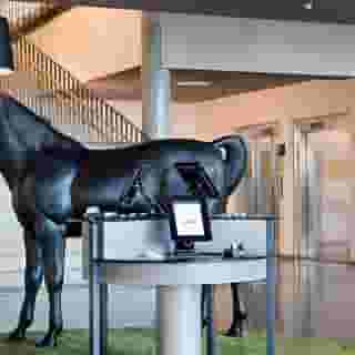 Comfort Hotel Bergen Airport, 4 of 5