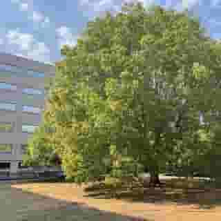 Residence Hotel Torino Uno, 5 of 5