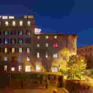 Rhinoceros Roma, 2 of 5