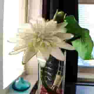 Euroway Hotel, 5 of 5