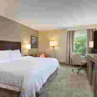 Hampton Inn Houston-Near The Galleria, 3 of 5