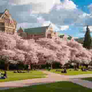 Staybridge Suites Seattle - Fremont, 4 of 5