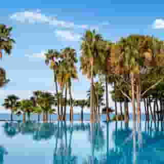 Acanthus Cennet Barut Collection, 2 of 5