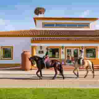 Vila Gale Alentejo Vineyards (Clube de Campo), 5 of 5