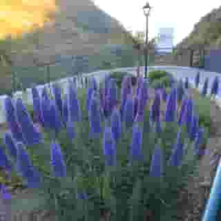 Estalagem Eira do Serrado, 1 of 5