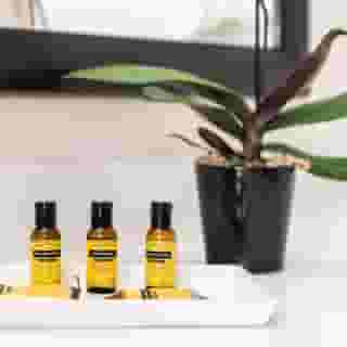 Best Western Plus Downtown Inn & Suites, 5 of 5