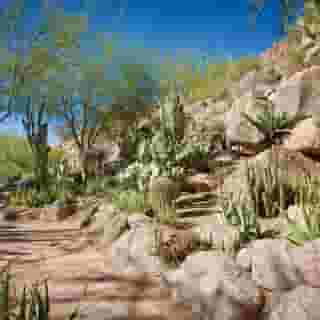 The Canyon Suites At The Phoenician, Luxury Collection, 6 of 6